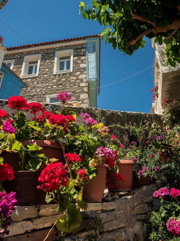 Traditional House *
